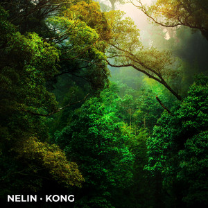 Nelin — Kong