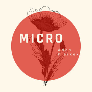 Micro by Adan Klarkex