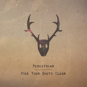 Pedestrian cover