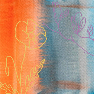 Echoes of Back to Curiosity album