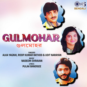 Alka Yagnik & Roop Kumar Rathod - Chaina Ami