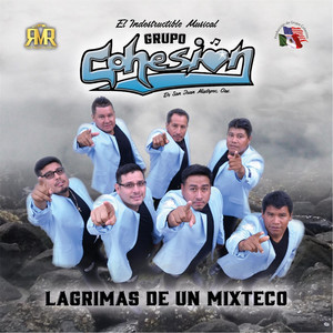 Grupo Cohesion poster