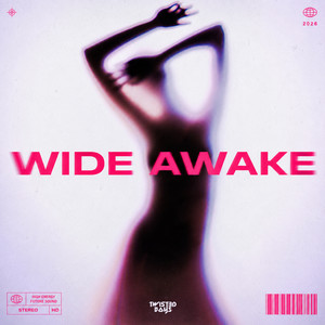 Wide Awake by Twist3d Boys