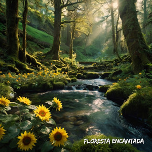 Saymon Cleiton - Enchanted Forest (Remix)