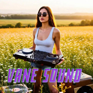 Horizonte en Vinilo by Vane Sound