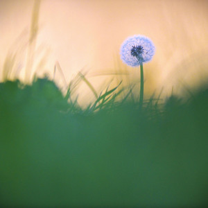 Septembre by Kevin Chaulier