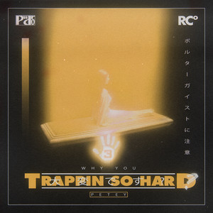 WHY YOU TRAPPIN SO HARD cover art