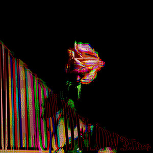 MILLION D'FLOW3R$ by Hølløw.