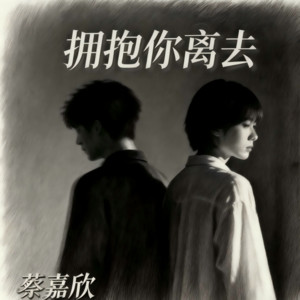 蔡嘉欣 - 拥抱你离去 (DJ九零版)