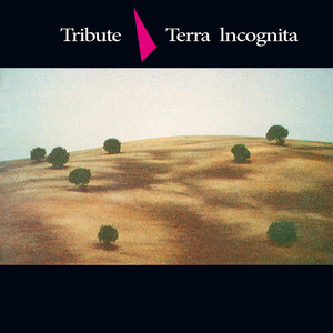 Terra Incognita cover