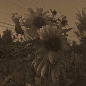 days go by by Blu Velvet