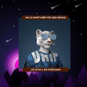 Võ Lê Mi & Jin Tuấn Nam - Xập Xình - Em Là Nhất Miền Tây (20X Remix)