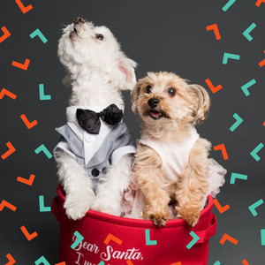 High-class Music for Sleeping Puppies - Chill Out album