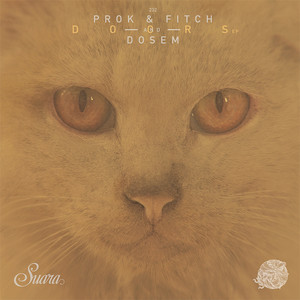 Doors by Dosem, Prok & Fitch