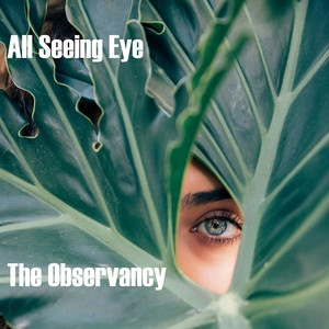 Dry Eyes by The Observancy