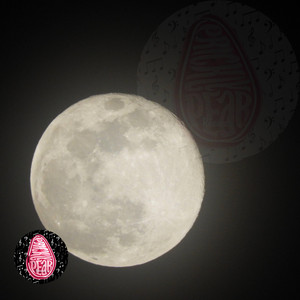 to the moon and back by Spacejamz, Allante Vanderslice, Prickly Pear Records