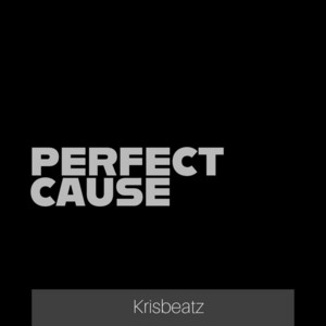 Perfect Cause by Krisbeatz