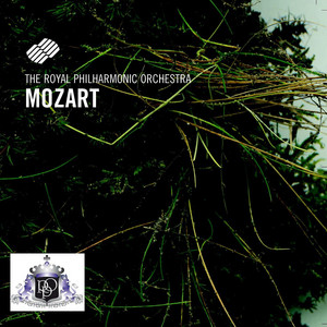 Horn Concerto No. 1 In D Major, Kv 412: I. Allegro