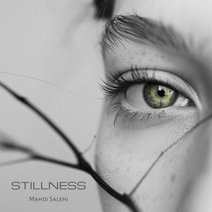 Stillness by Mahdi Salehi