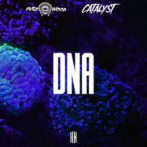 Catalyst