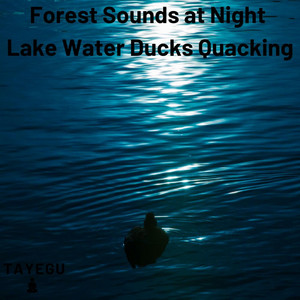 TAYEGU - Forest Sounds at Night Lake Water Ducks Quacking 1 Hour Crickets Relaxing Nature Ambient Yoga Meditation Sound For Sleeping or Study