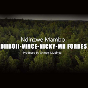 Mutendi High Brass Band - Ndinzwe Mambo (DIIBOII Vinyska Mr Forbes and Nicky Mutendi)