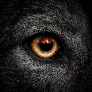 Fenrir Calls by Othravar