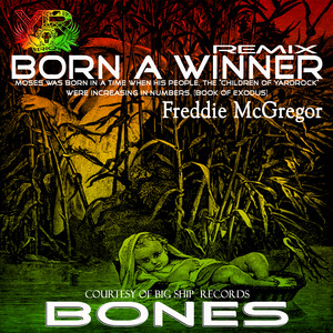 Born A Winner - Single by Freddie McGregor | Spotify