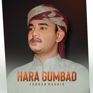 Hidayah Records - Hara Gumbad jo dekhoge