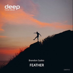 Feather by Brandon Szabo