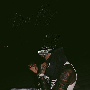 too fly by Suigeneris