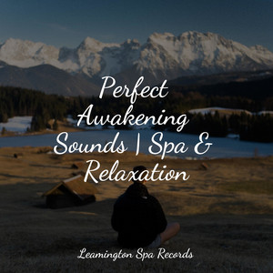 Perfect Awakening Sounds | Spa & Relaxation album
