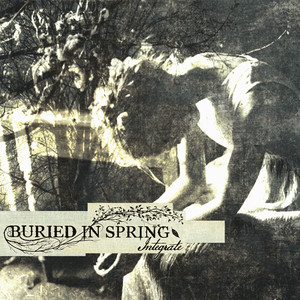 Integrate by Buried In Spring
