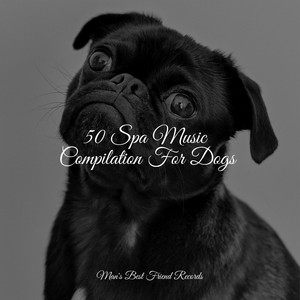50 Spa Music Compilation For Dogs album