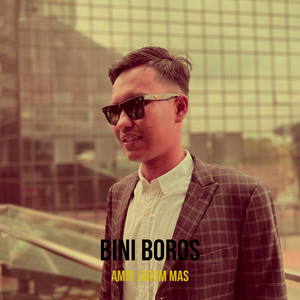 Amir Jarum Mas - Bini Boros
