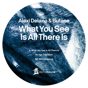 Mind Mapping - Original Mix by Alexi Delano, Butane