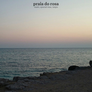 praia do rosa by Osaki, Spaniel Mac, tezpu