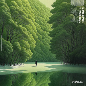 cedar by David Chief
