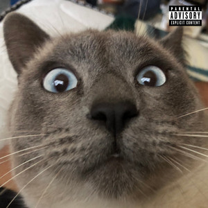 #antesdequeseacabeelmundo