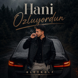 Hani Ozluyordun by Kleynolf