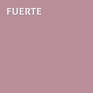 fuerte by Demmopo vuild