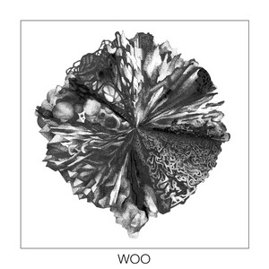 Woo by Monkey Safari cover art