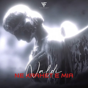 Naldi - Ne Krahet e mia