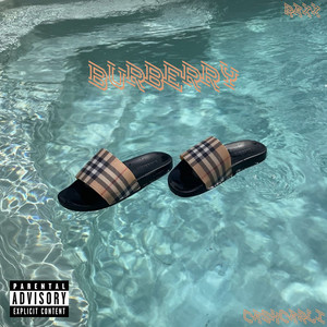 Burberry by Raxx, cashcarli