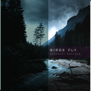birds fly by stardust enclave