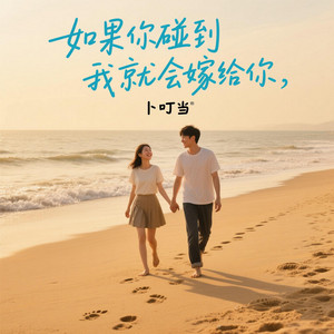 如果你碰到我我就会嫁给你