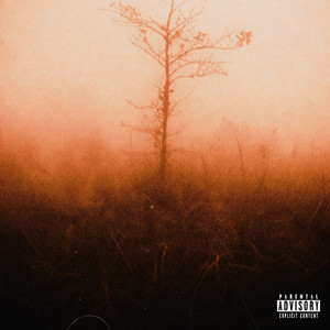 2111 by DillanPonders, BVB