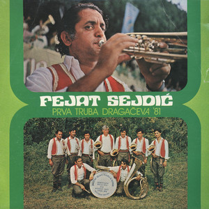 Fejat Sejdić poster