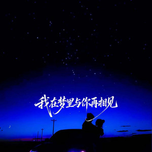 我在夢裡與你再相見 by 王凱樂