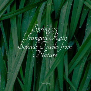 Spring 25 Tranquil Rain Sounds Tracks from Nature album